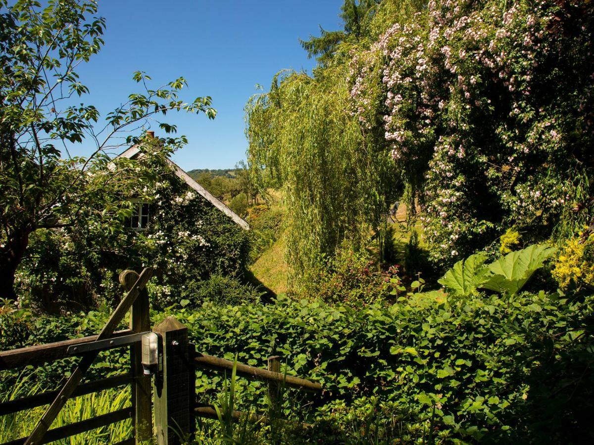 Dolgenau Cottages Trefeglwys ภายนอก รูปภาพ