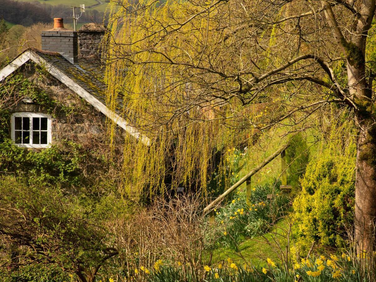 Dolgenau Cottages Trefeglwys ภายนอก รูปภาพ